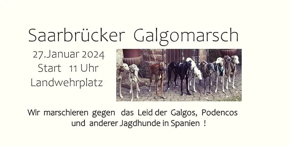 Zur Meldung: Saarbrücker Galgomarsch 2024