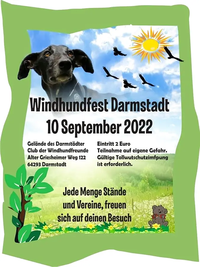 Zur Meldung: Windhundfest in Darmstadt 2022