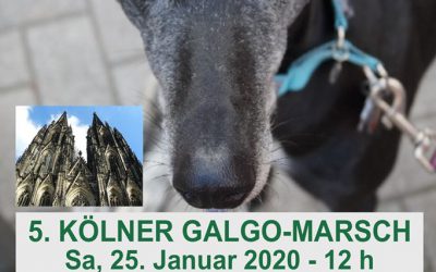 5. Kölner Galgo-Marsch