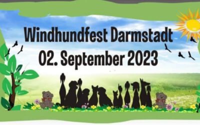 Windhundfest Darmstadt 2023
