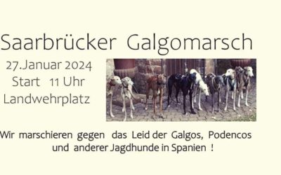 Saarbrücker Galgomarsch 2024