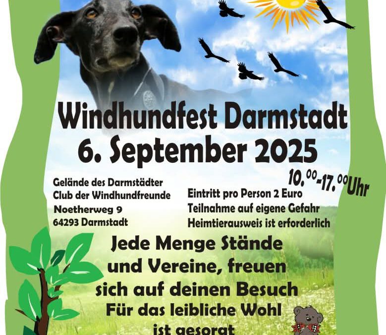 Windhundfest Darmstadt 2025